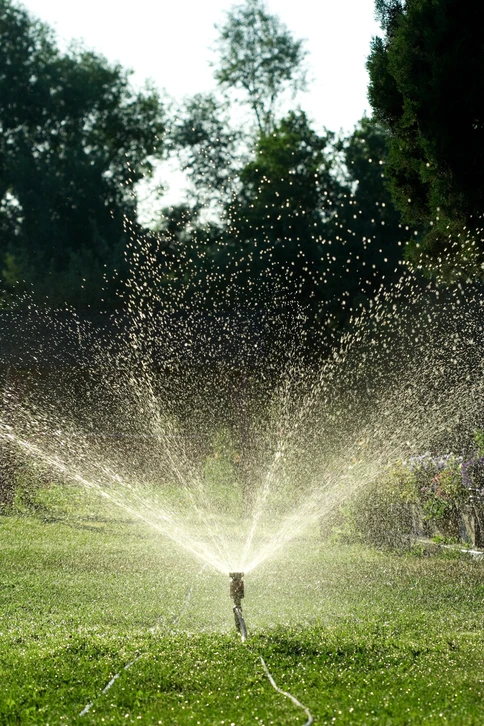 Scène extérieure d'arrosage automatique dans un jardin résidentiel