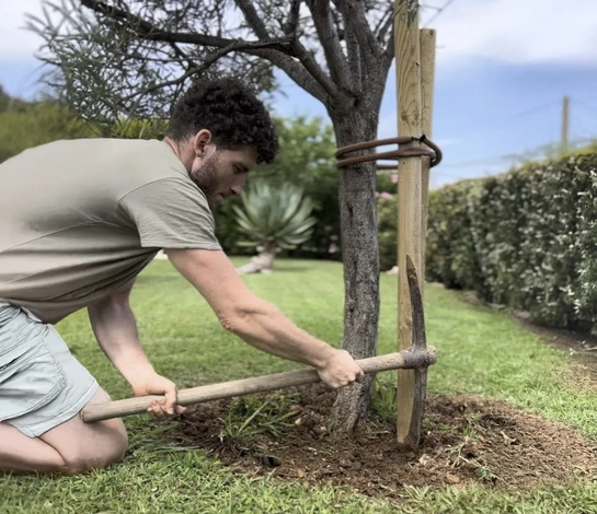 Jardin privé avec piscine creusée rectangulaire aux eaux turquoise, entourée de margelles en brique rouge