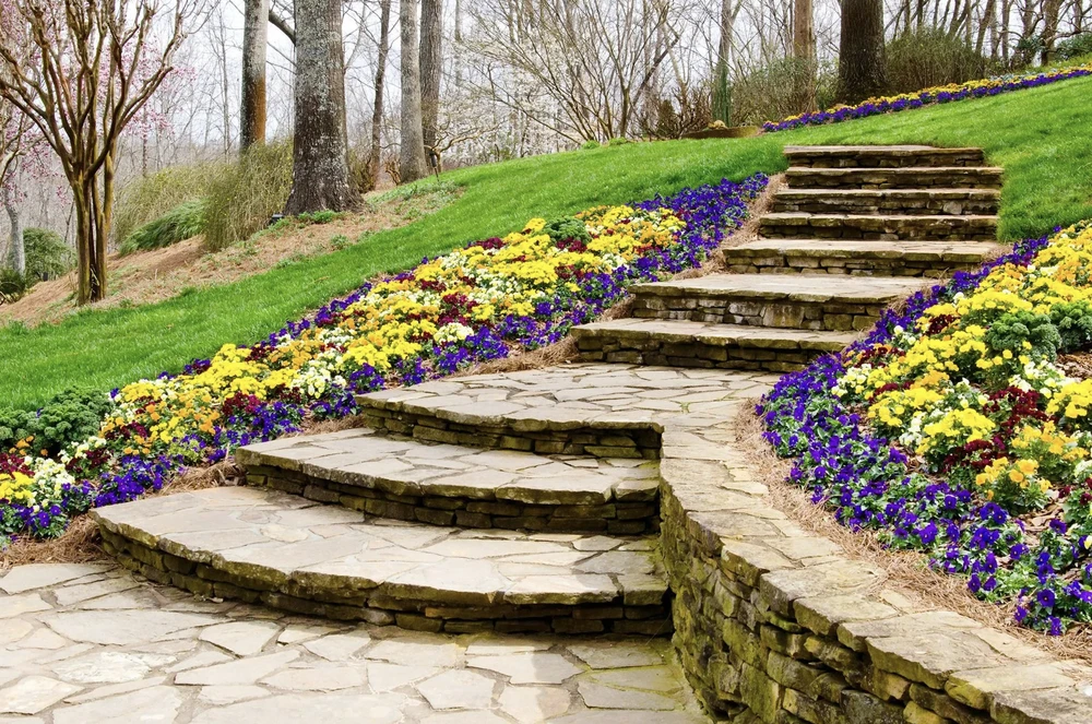 Aménagement paysager extérieur avec escalier en pierre naturelle serpentant dans une pente