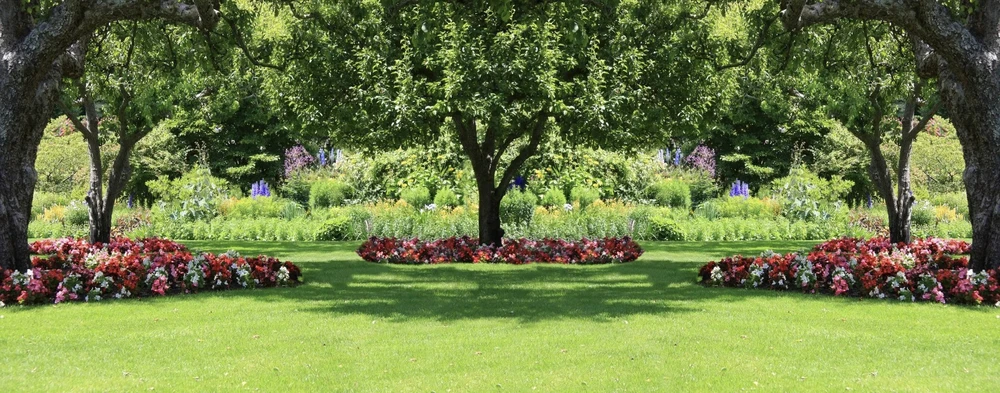Jardin résidentiel avec pelouse verte entretenue et haie de thuyas taillée formant une clôture végétale