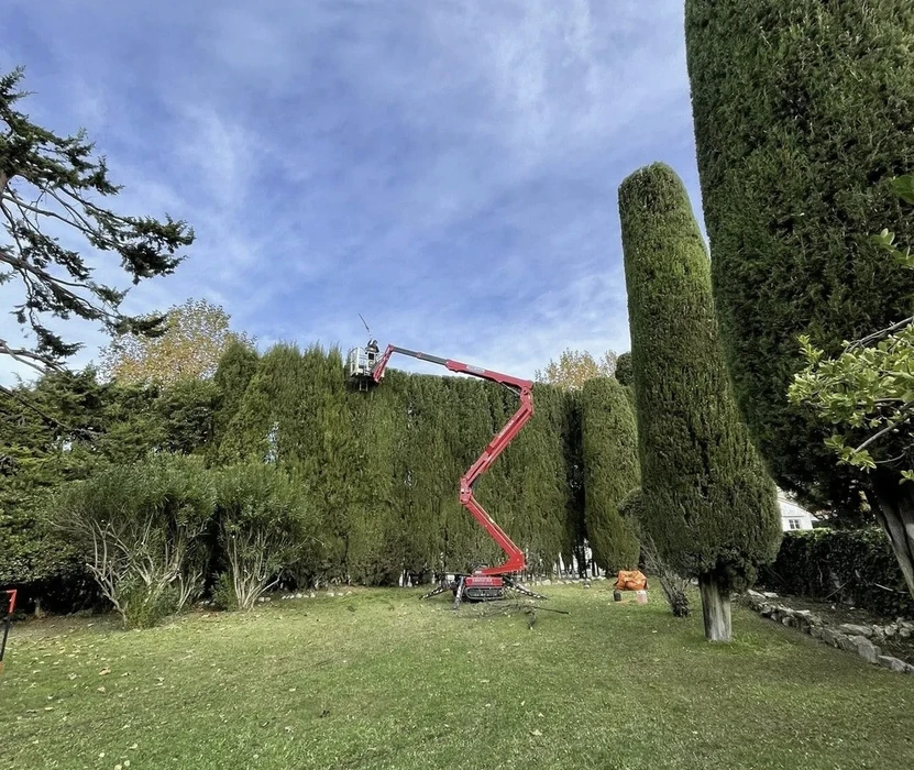 Aménagement paysager extérieur avec escalier en pierre naturelle serpentant dans une pente