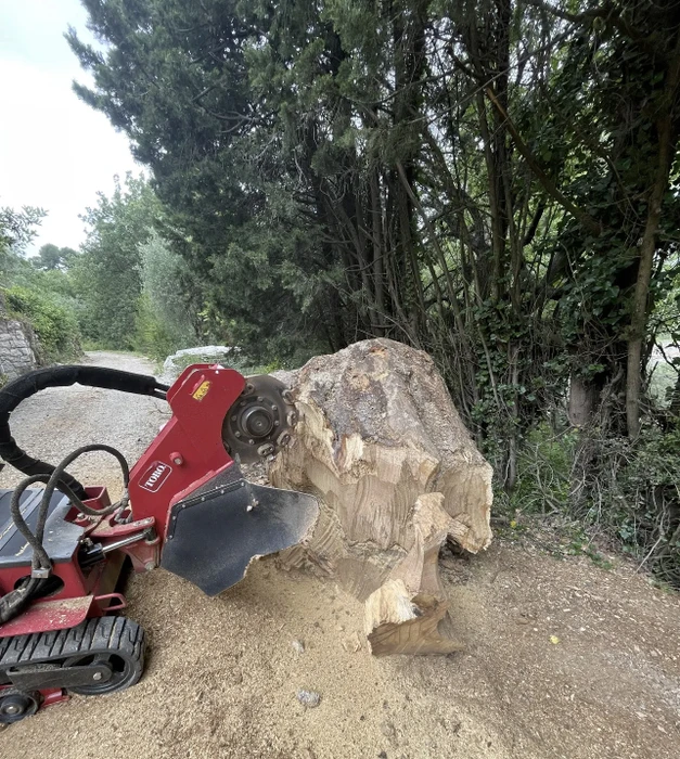 Vignoble en terrasses avec bâtiment viticole traditionnel en pierre calcaire et toiture en tuiles