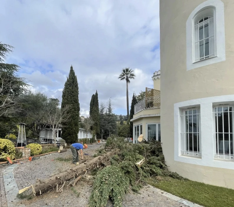 Jardin paysager avec pelouse entretenue, arbre central mature entouré de massifs floraux rouges et blancs disposés symétriquement